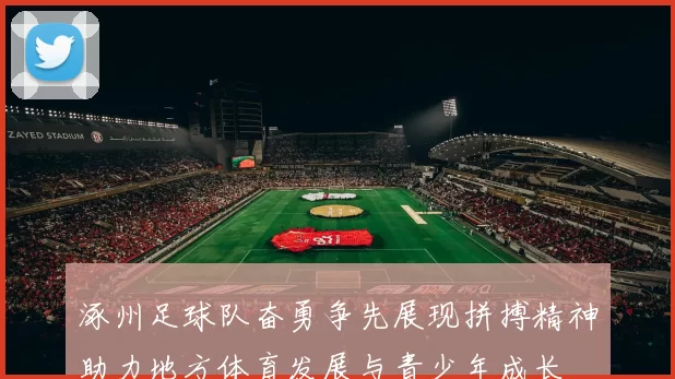 涿州足球队奋勇争先展现拼搏精神助力地方体育发展与青少年成长