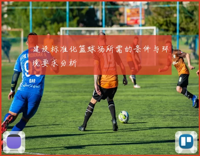 建设标准化篮球场所需的条件与环境要求分析
