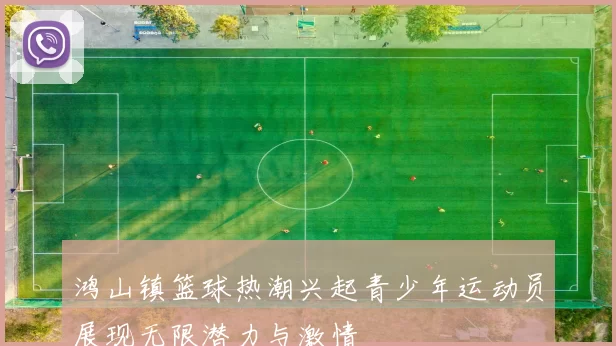 鸿山镇篮球热潮兴起青少年运动员展现无限潜力与激情