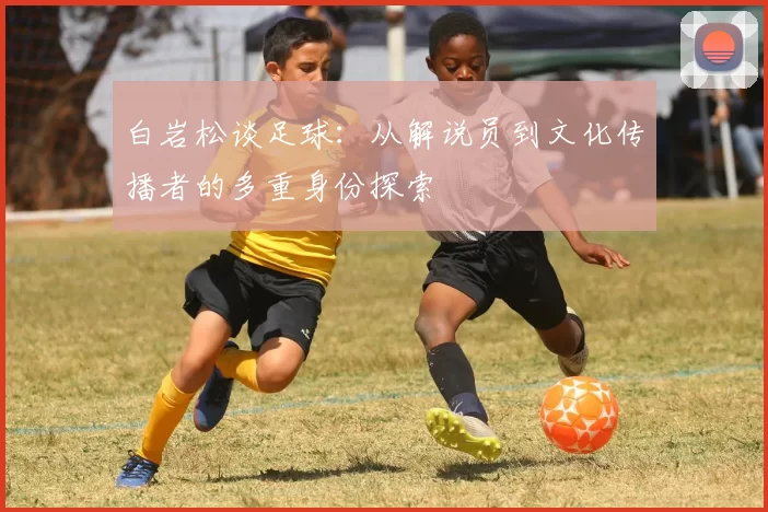 白岩松谈足球：从解说员到文化传播者的多重身份探索