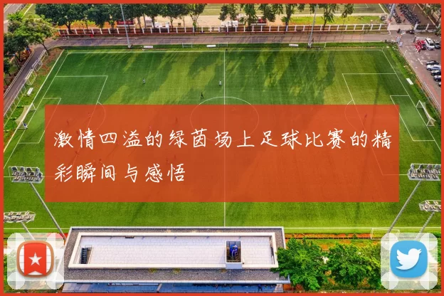 激情四溢的绿茵场上足球比赛的精彩瞬间与感悟