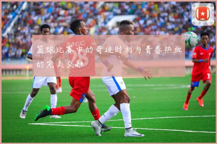 篮球比赛中的奇迹时刻与青春热血的完美交融